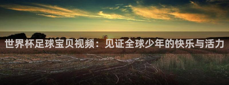 世界杯球队排名：世界杯足球宝贝视频：见证全球少年的快乐与活力