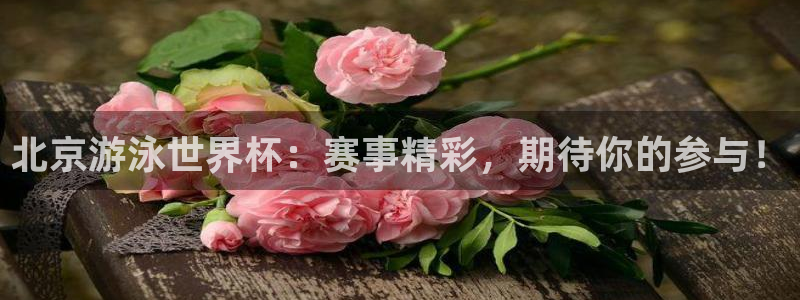2006年世界杯：北京游泳世界杯：赛事精彩，期待你的参与！
