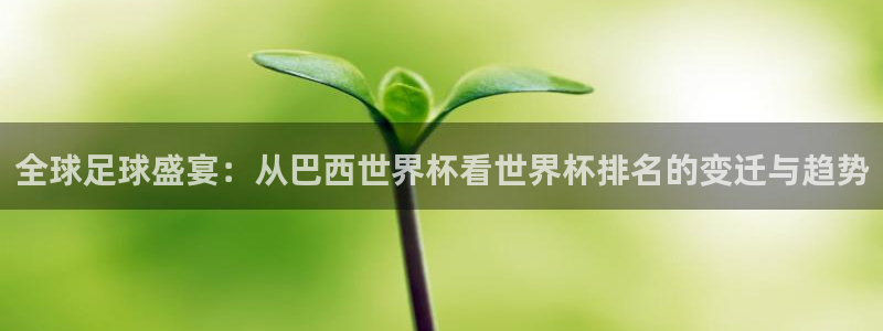 世界杯系列赛：全球足球盛宴：从巴西世界杯看世界杯排名的变迁与趋势
