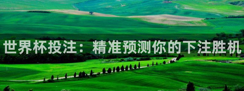 世界杯预选赛赛程表：世界杯投注：精准预测你的下注胜机