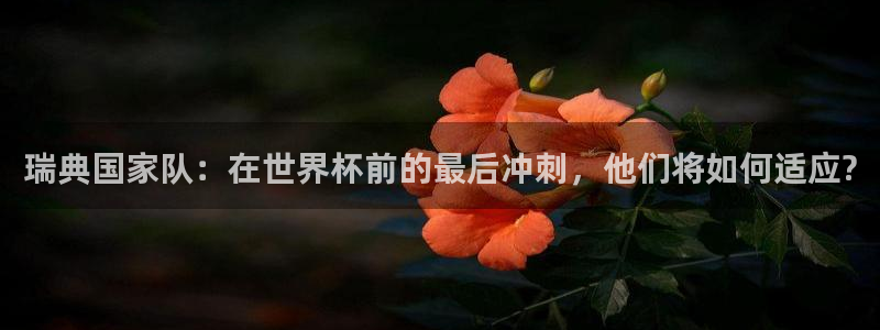 世界杯在线直播：瑞典国家队：在世界杯前的最后冲刺，他们将如何适应?