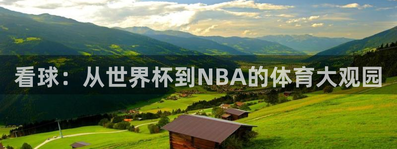 今年的世界杯：看球：从世界杯到NBA的体育大观园