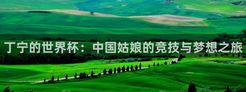 2026世界杯：丁宁的世界杯：中国姑娘的竞技与梦想之旅
