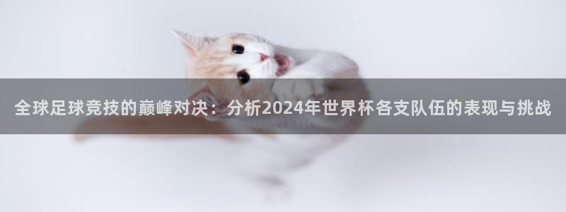 美国世界杯：全球足球竞技的巅峰对决：分析2024年世界杯各支队伍的表现与挑战