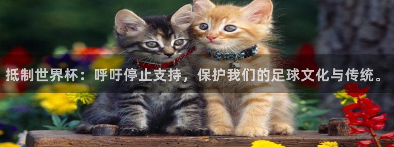澳门世界杯直播：抵制世界杯：呼吁停止支持，保护我们的足球文化与传统。