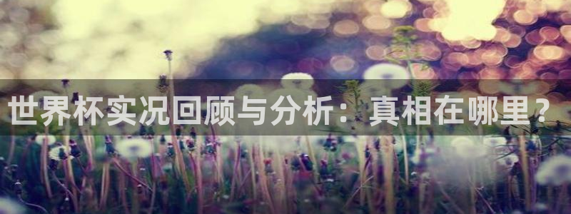 世界杯比赛时间：世界杯实况回顾与分析：真相在哪里？