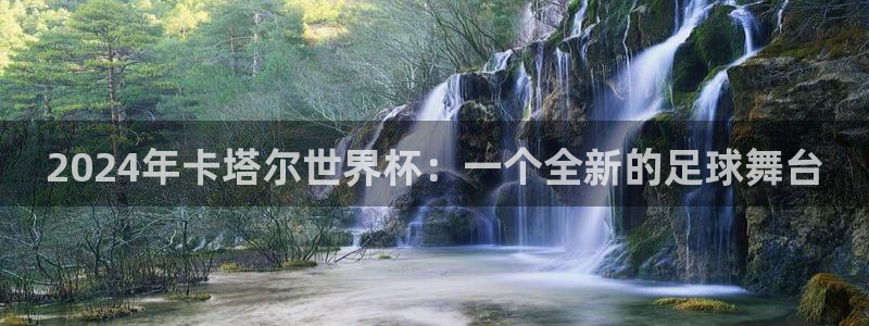 世界杯预选赛亚洲区赛程：2024年卡塔尔世界杯：一个全新的足球舞台