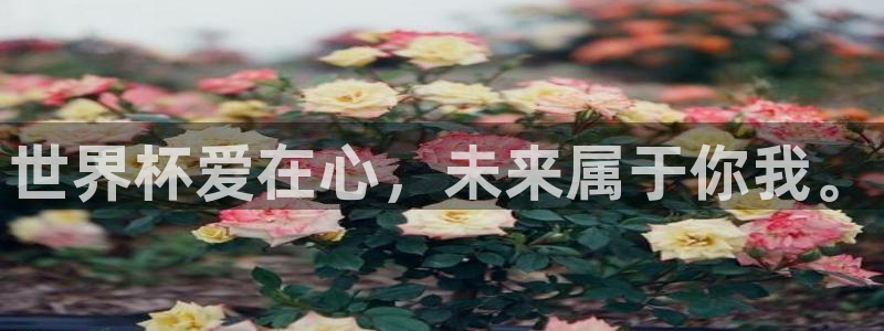 世界杯预选赛规则：世界杯爱在心，未来属于你我。