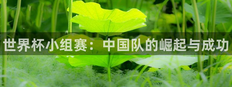 世界杯比赛时间：世界杯小组赛：中国队的崛起与成功