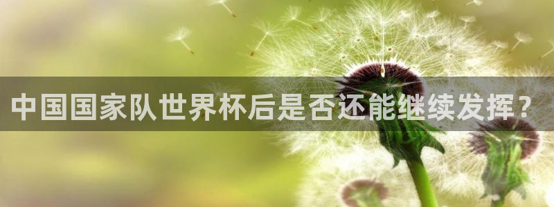 世界杯球队：中国国家队世界杯后是否还能继续发挥？