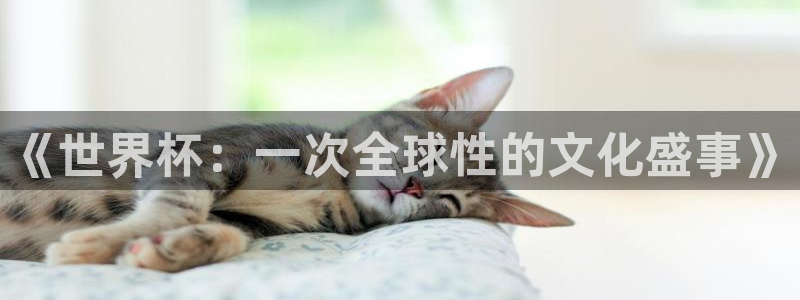 免费看足球直播比赛:《世界杯:一次全球性的文化盛事》