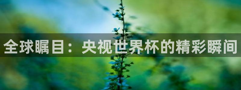 2026世界杯官网入口：全球瞩目：央视世界杯的精彩瞬间
