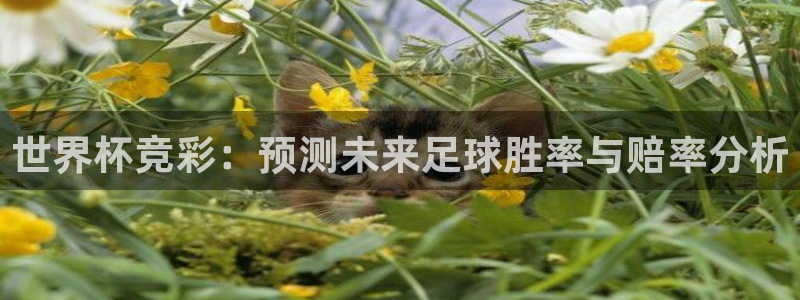 英格兰联赛杯直播：世界杯竞彩：预测未来足球胜率与赔率分析